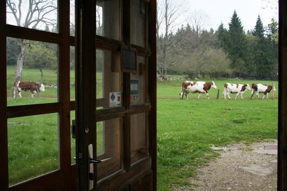 Auberge De La Perdrix Hauterive-la-Fresse 외부 사진