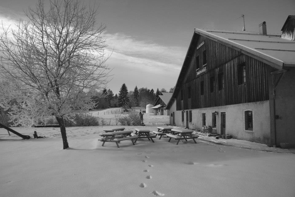 Auberge De La Perdrix Hauterive-la-Fresse 외부 사진